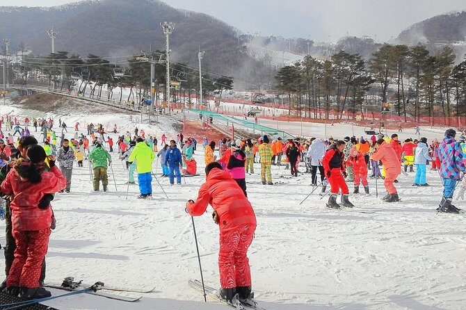 Korea Ski Tour from Seoul - Jisan Forest Resort - Who Should Consider This Tour?
