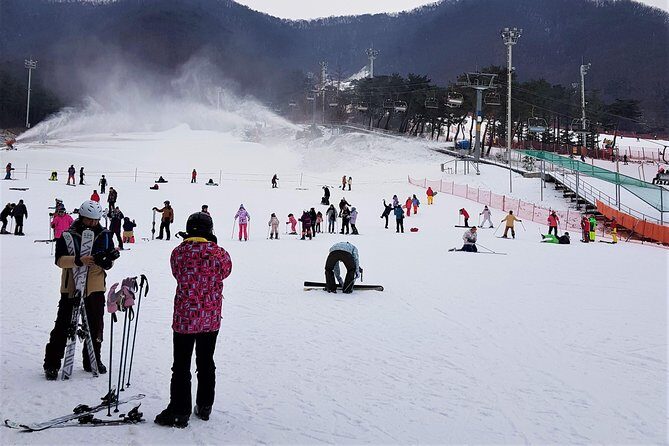 Korea Ski Tour from Seoul - Jisan Forest Resort - The Sum Up: Is This Tour Worth It?