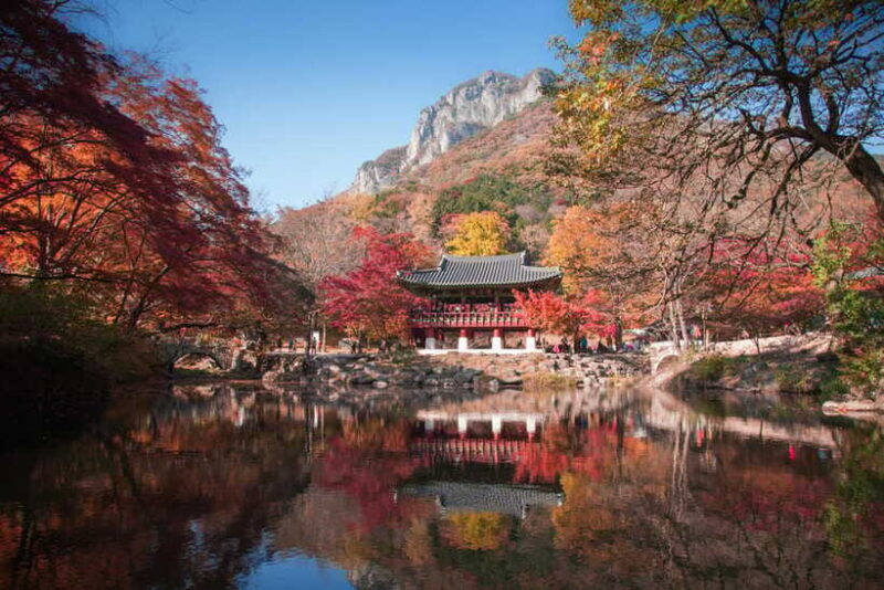 Korea: Trip and Itinerary Planning - Travel Effortlessly! - Authentic Experiences and Hidden Gems