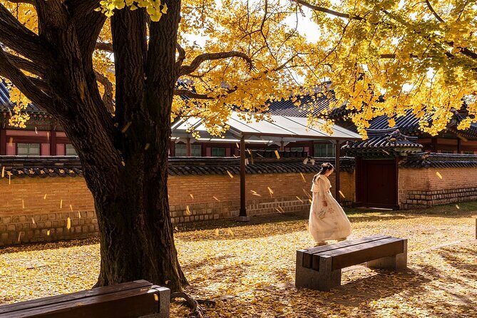 Korean Grandma Cooking Class l Gimbap & Kimchi Pancake l Seoul - FAQ