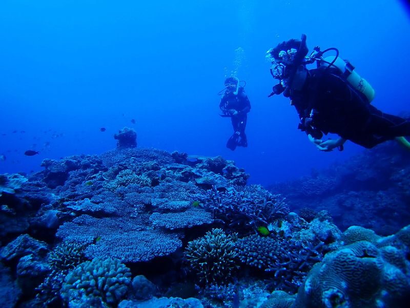 Korean Support: Okinawa Blue Cave Boat Experience Diving (Free Photo Shoot/No License Required) - What the two-hour Blue Cave outing involves