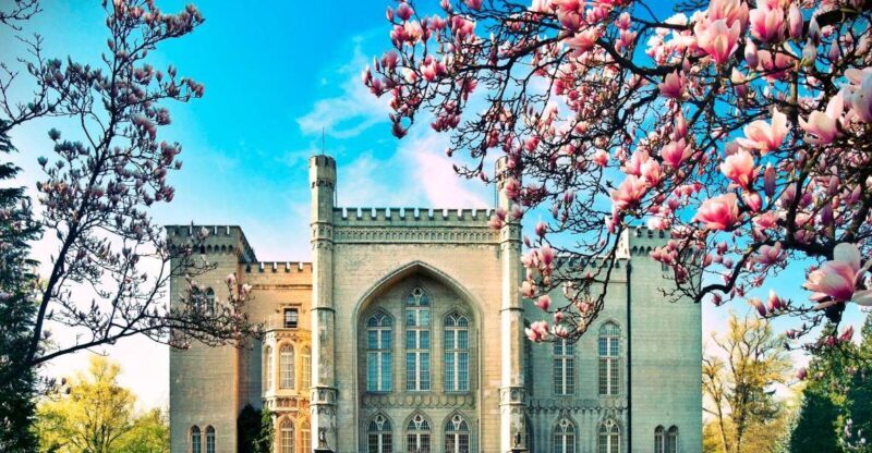 Kornik Castle and Rogalin Palace Half-Day Private Tour - A Closer Look at the Kornik Castle and Rogalin Palace Tour