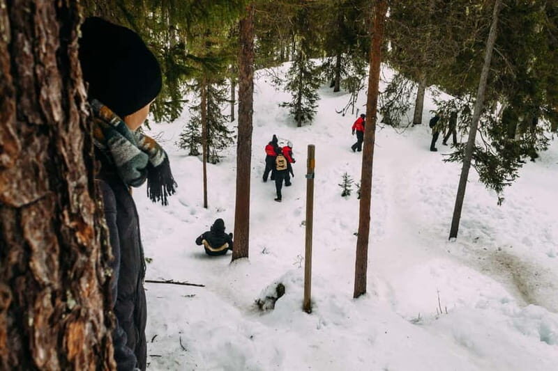 Korouoma Canyon: Frozen Waterfalls Hike & BBQ Experience - The Value of This Experience