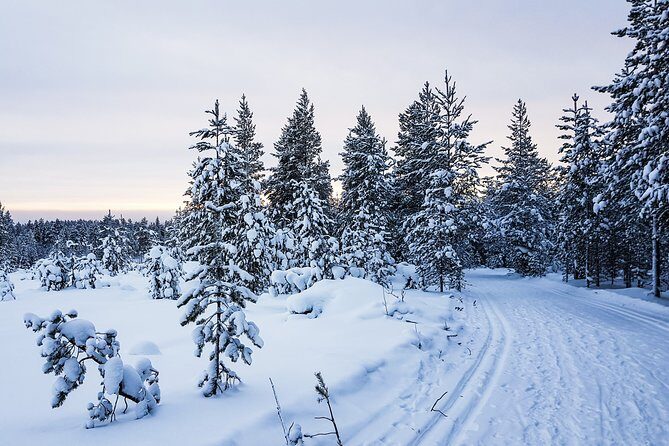 Korouoma Canyon Snowshoe Trip - Final Thoughts