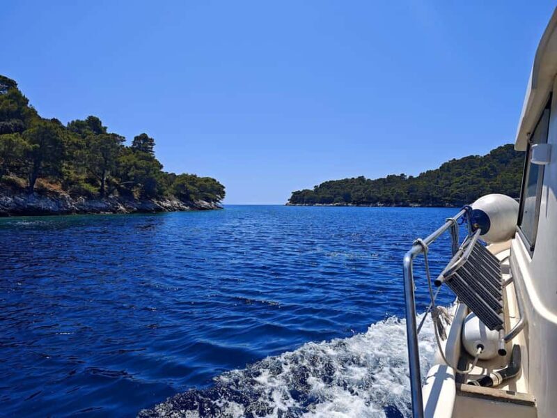 Korula: Family Fishing & Snorkeling Private Boat Trip - What Reviewers Say