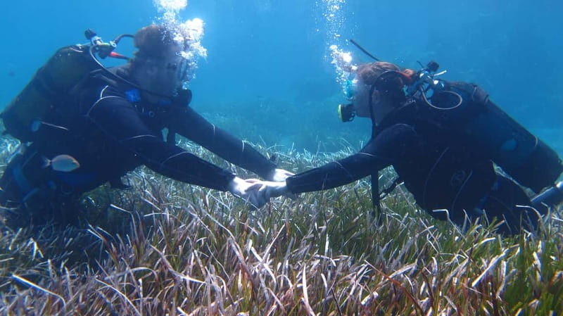 Kos: Beginner Scuba Diving at Pserimos Island - FAQs