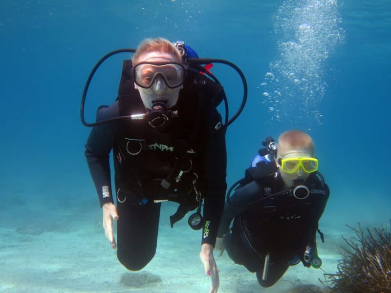 Kos: Beginner Scuba Diving from the Beach with Pickup - Final Thoughts: Is It Worth It?