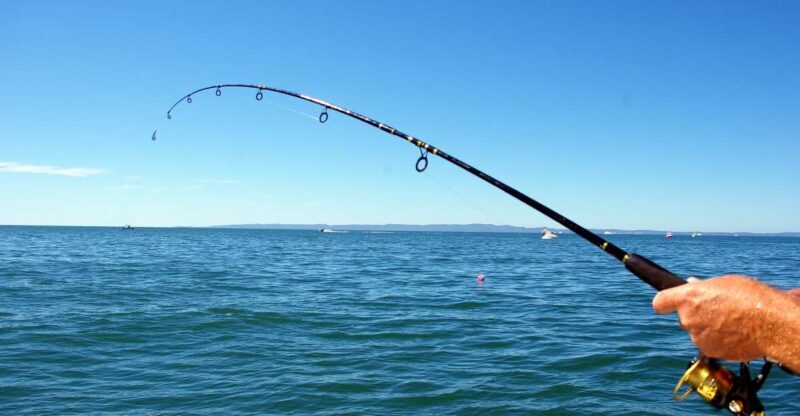 Kos: Fishing Trip Experience with a Greek Fisherman's Family - What Makes This Fishing Trip Special?