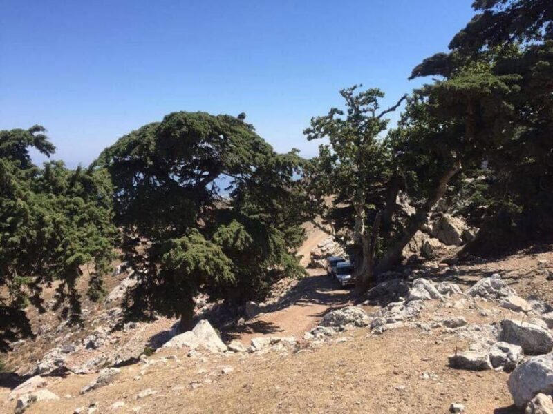 Kos: Full-Day Jeep Safari with Lunch - A Closer Look at the Itinerary