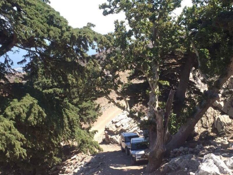 Kos: Full-Day Jeep Safari with Lunch - Frequently Asked Questions