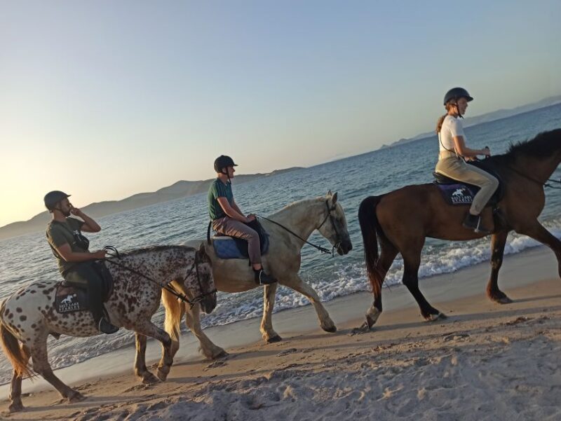 Kos: Horse Riding Experience on the Beach with Instructor - Stops and Photo Opportunities