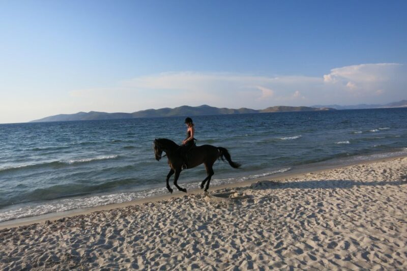 Kos: Horse Riding Experience on the Beach with Instructor - Is It Worth It?
