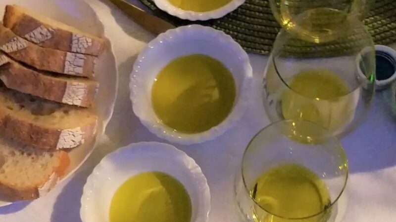 Kos Olive Oil Tasting & Farm Experience - Why This Experience Offers Real Value