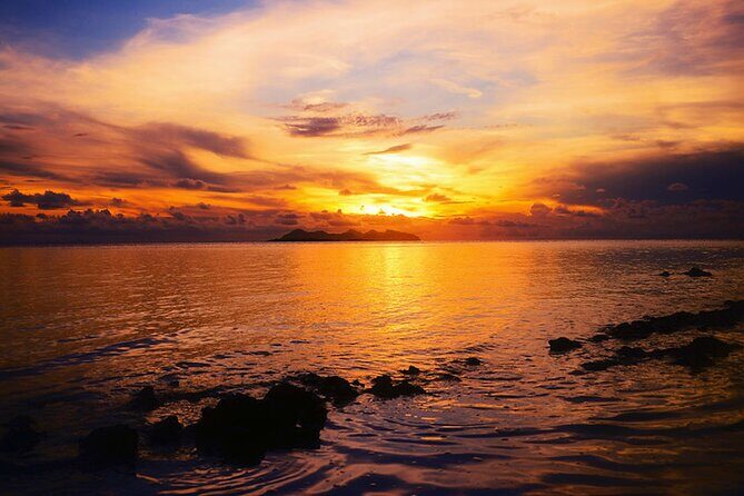 Kota Kinabalu: Bongawan River Cruise, City Tour & Fireflies - Who Will Love This Tour?