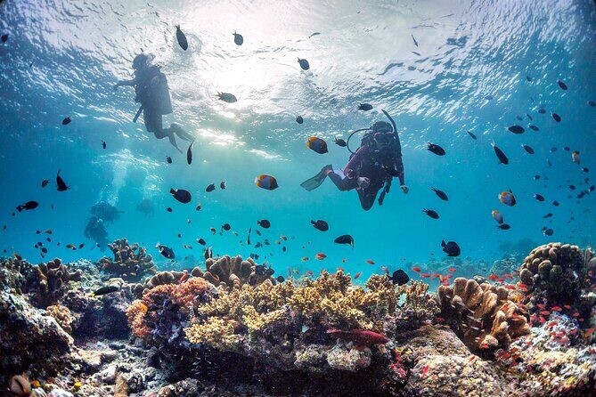 Kota Kinabalu Leisure Scuba Diving Trip (3 Dives) - An In-Depth Look at the Tour