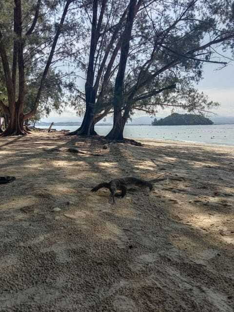 Kota Kinabalu: Manukan & Sapi Islands Snorkeling with Lunch - Who Should Consider This Tour?