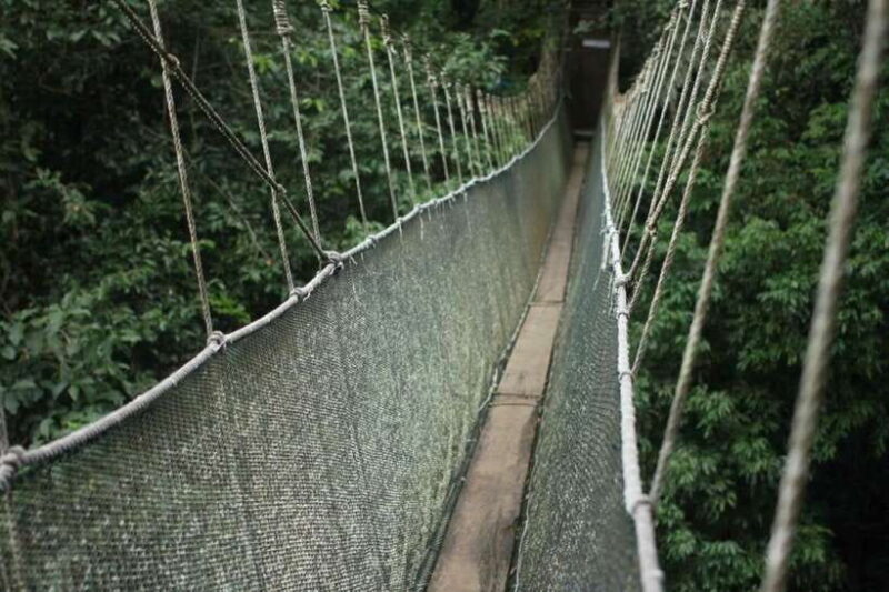 Kota Kinabalu: Private Kundasang and Poring Hot Spring Tour - Kota Kinabalu: Private Kundasang and Poring Hot Spring Tour