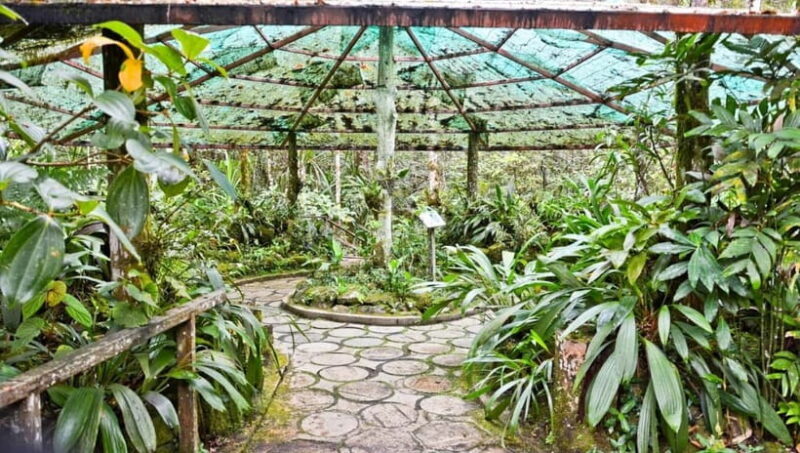 Kota Kinabalu: Private Kundasang and Poring Hot Spring Tour - Frequently Asked Questions