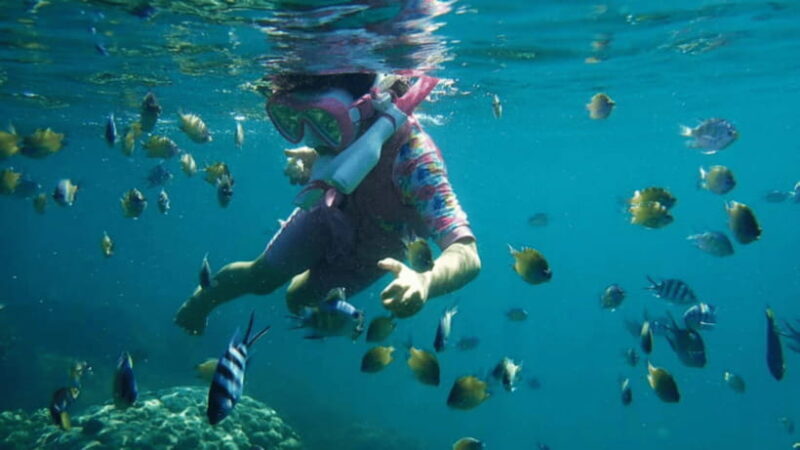 Kota Kinabalu : Snorkeling at Ara Dinawan Private Island - FAQ
