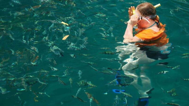 Kota Kinabalu: Snorkeling & Island Hopping Sapi & Manukan - Final Thoughts