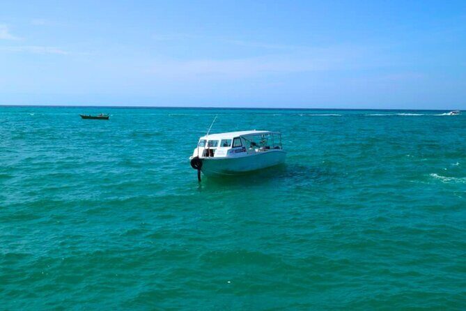 Kota Kinabalu Snorkeling Tour at Manukan and Sapi Island - Summary: The Value of This Snorkeling Tour