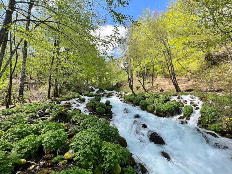 Kotor: Durmitor, Black Lake & Djurdjevica Tara Bridge Tour - FAQ