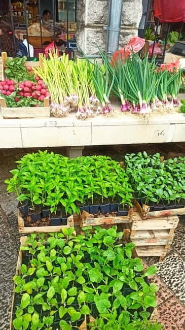 Kotor: Private Walking Tour with Wine and Food Tasting - Value and Practical Tips