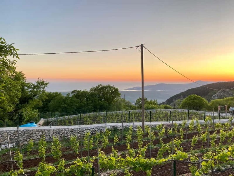 Kotor & Wine: Tasting the Charms Beneath Mount Lovcen - Exploring the Heart of Kotor
