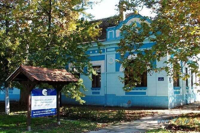 Kovacica Naive Art Experience - Private Half DayTour from Belgrade - Who Should Book This Tour?