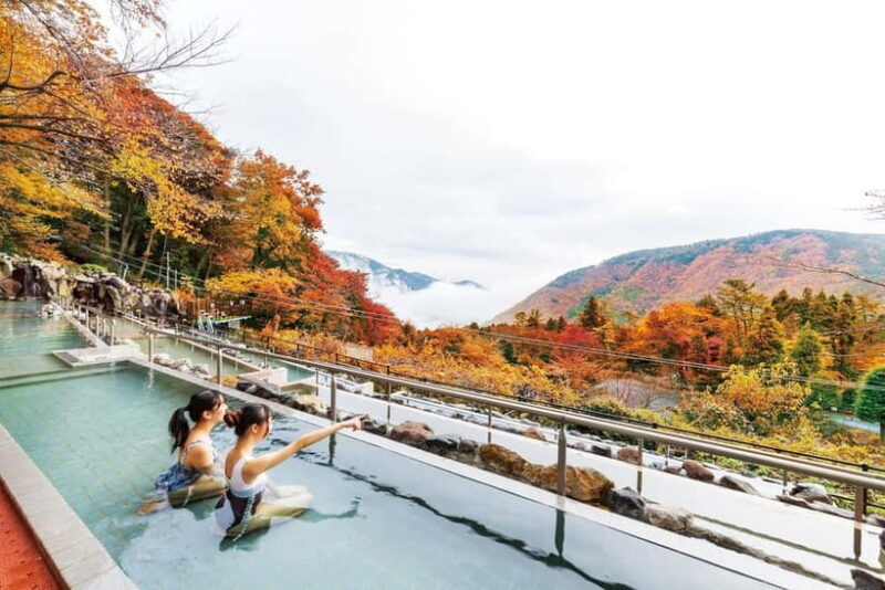 Kowakien Yunessun Hot Springs Entry Ticket - An In-Depth Look at Hakone Kowakien Yunessun