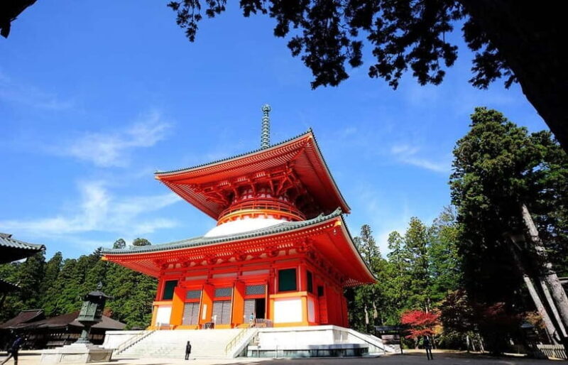 Koyasan: A Mysterious Meditation Journey - Key Points
