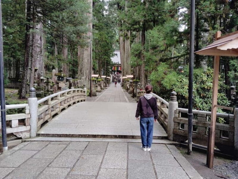 Koyasan: All the Highlights of Koyasan with Special Guide 4h - Key Points