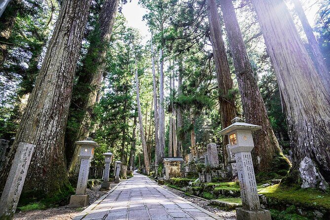 Koyasan Day Trip by Private Car from Osaka - Transportation, Timing, and Practical Details