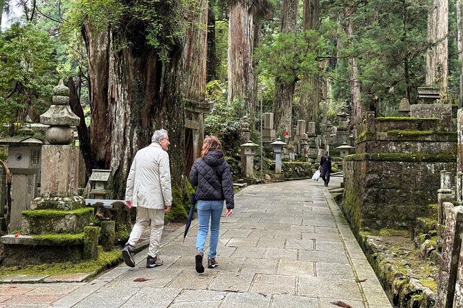 Koyasan: Half-Day Guided Tour - Okuno-in, Kongobuji & Danjo Garan - Final Thoughts: Why This Tour Matters