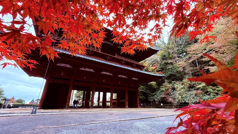 Koyasan & Okunoin Small Group Day Tour from Osaka - The road is part of the day