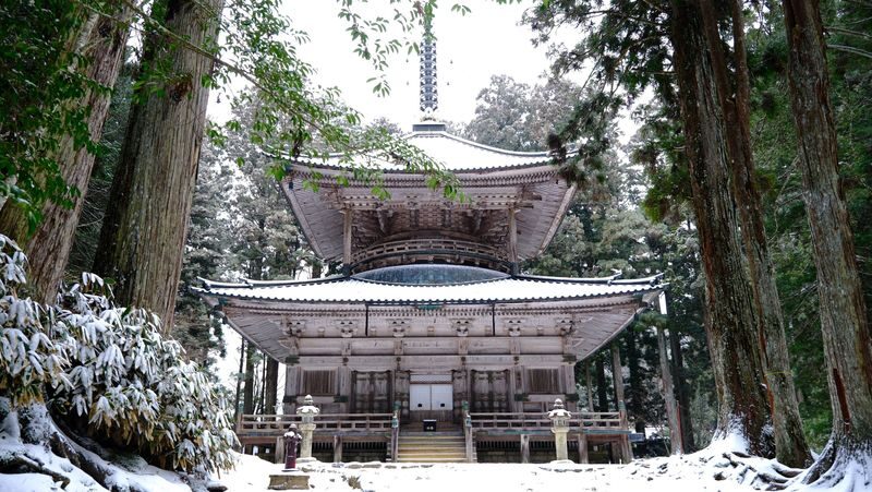 Koyasan & Okunoin Small Group Day Tour from Osaka - Okunoin: the forest walk worth saving energy for