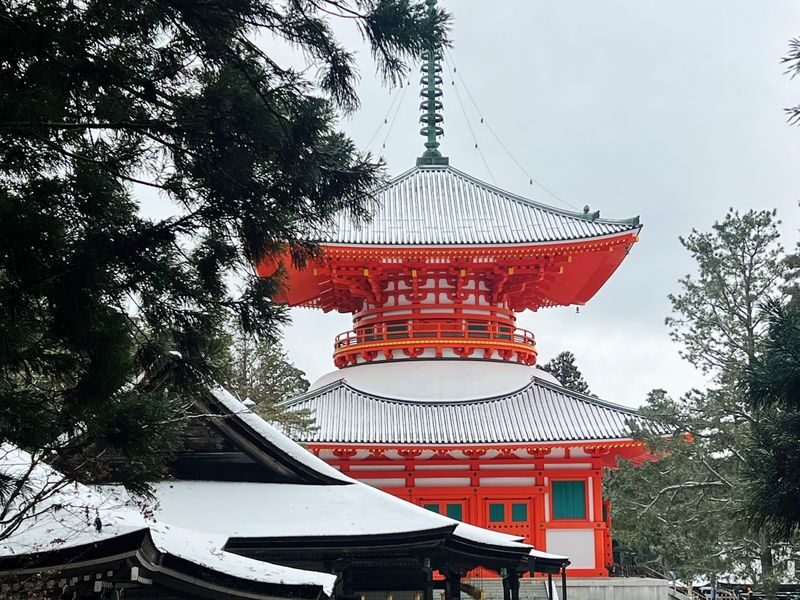 Koyasan & Okunoin Small Group Day Tour from Osaka - Lunch, snacks and the small comforts