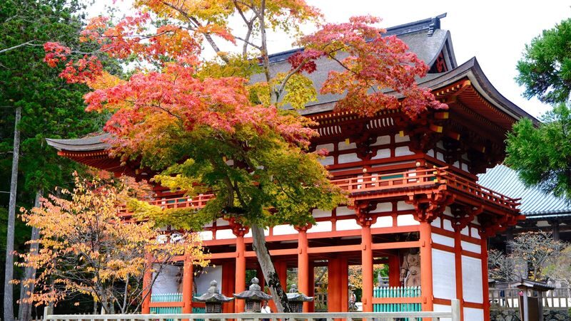 Koyasan & Okunoin Small Group Day Tour from Osaka - How much time and energy should you budget?