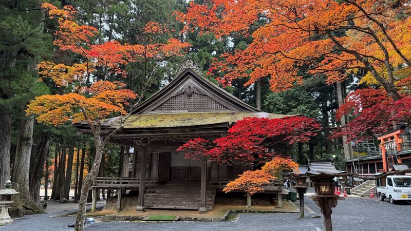 Koyasan & Okunoin Small Group Day Tour from Osaka - Is $74.55 good value?