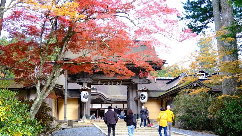 Koyasan & Okunoin Small Group Day Tour from Osaka - Who should book this tour?