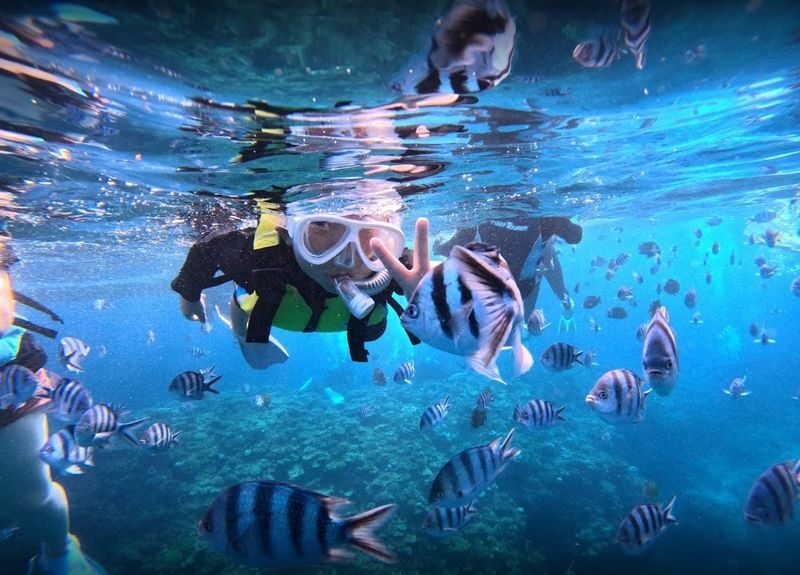 KR support: Okinawa Blue Cave Boat Snorkeling All-in-One experience - Who should book this snorkeling trip?
