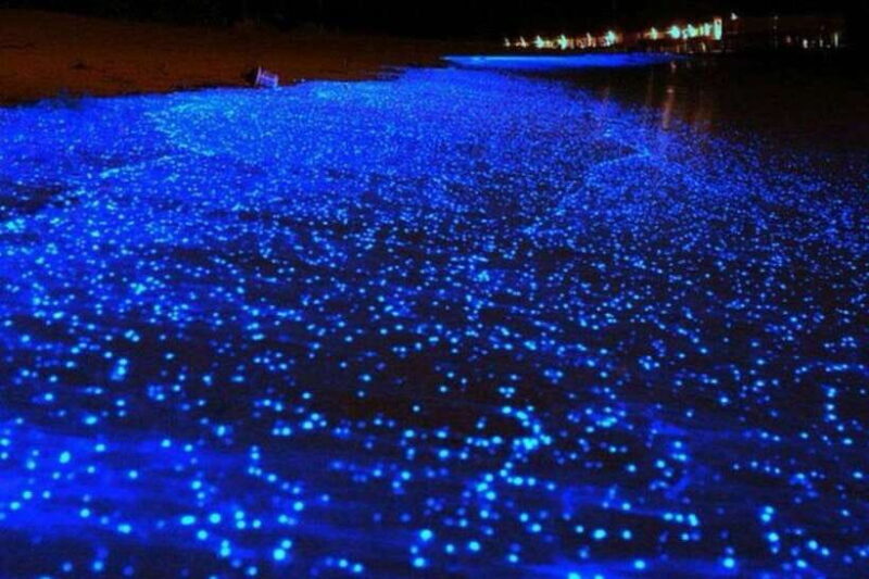 Krabi: 7-Island Tour by Longtail Boat with Sunset - Practical Aspects of the Tour