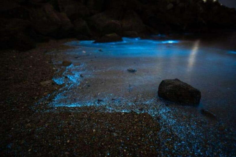 Krabi: 7-Island Tour by Longtail Boat with Sunset - What the Reviews Say