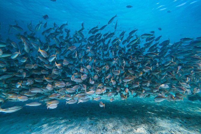 Krabi 7 Islands Sunset & Bioluminescence by Longtail boat - Frequently Asked Questions