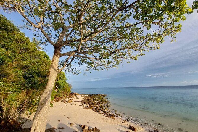 Krabi 7 Islands Sunset Tour with Bioluminescent Plankton + BBQ - Frequently Asked Questions