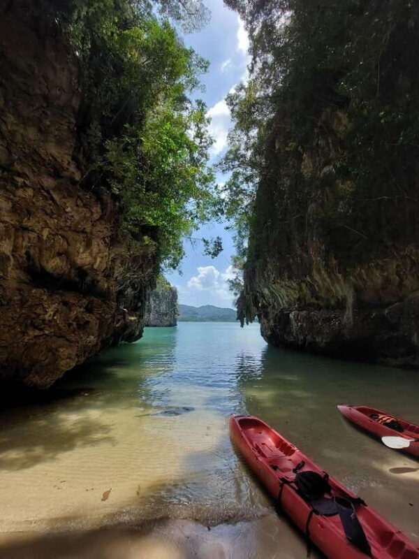 Krabi: A Kayaking Odyssey through Din Daeng Mangrove Maze - Key Points