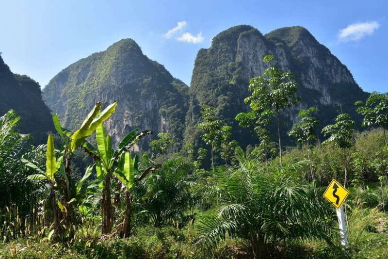 Krabi: A Kayaking Odyssey through Din Daeng Mangrove Maze - FAQ