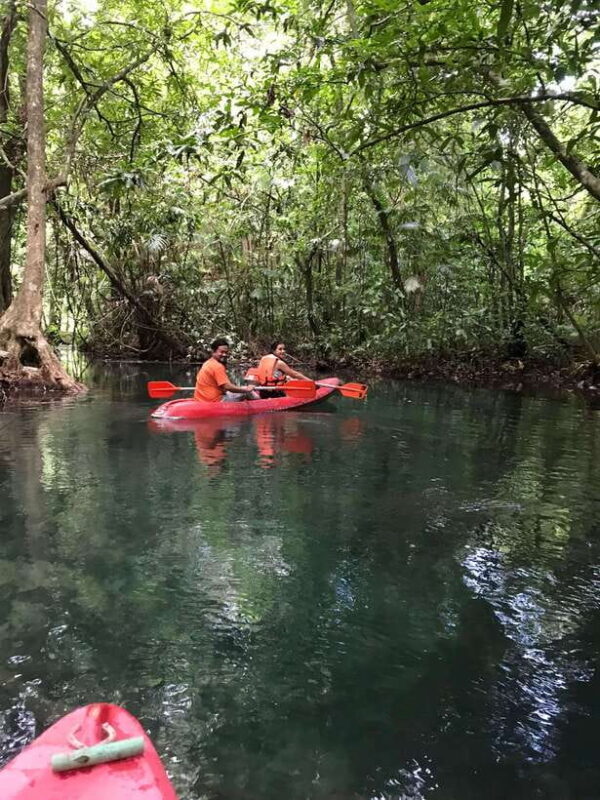 Krabi: Amazon Klong Srakaew Kayaking With Lunch - Frequently Asked Questions
