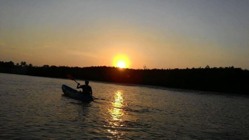 Krabi: Ao Thalane Sunset Kayak adventure (group of 10 max) - The Experience in Detail
