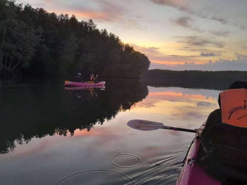 Krabi: Ao Thalane Sunset Kayak adventure (group of 10 max) - Who Should Consider This Tour